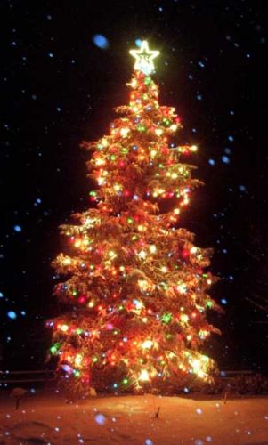 Christmas tree image. If images are not displayed,
	your browser should give you a 'click-on' option to open them.